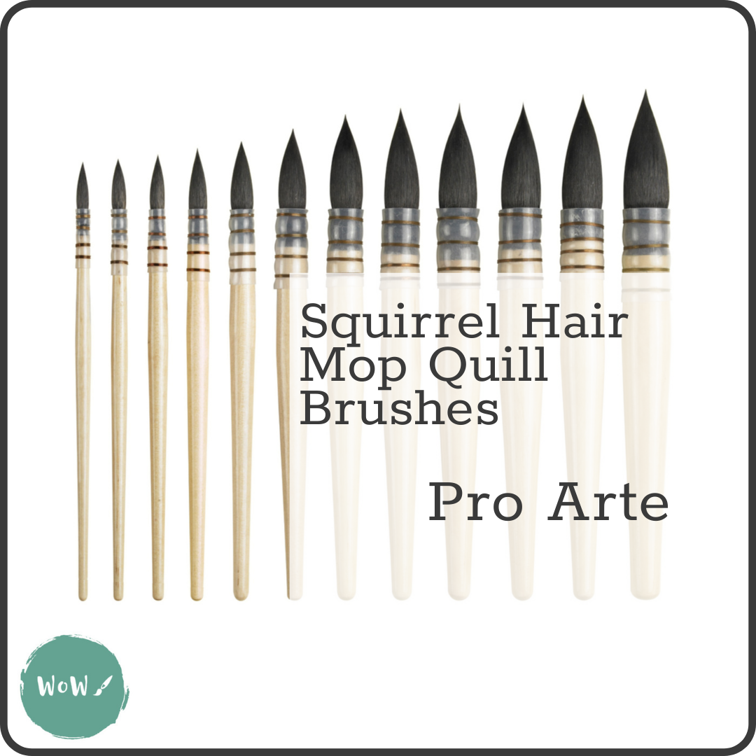 Pro Arte RSQ Series Natural Hair Quill Mop Brushes - Assorted sizes – WoW  Art Supplies