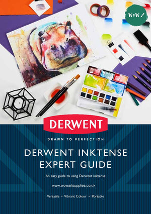 Expert Guide to Derwent Inktense
