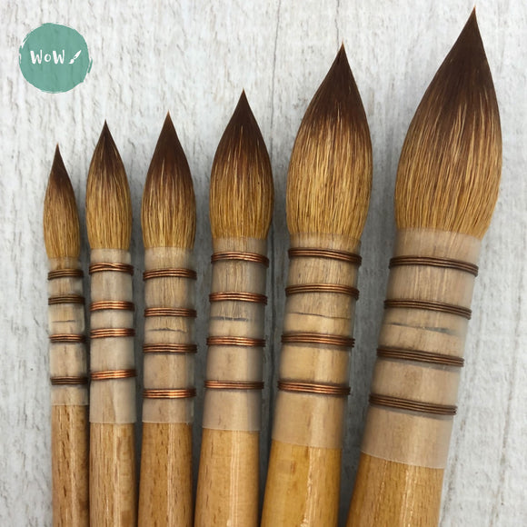 Pro Arte Series 45 'Sablesque' Blended Mop Brushes