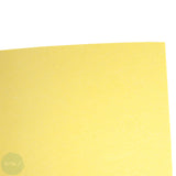 ACRYLIC STAY WET PALETTE - Masterson STA-WET - Premier Palette - SPONGE REFILL - SINGLE - 12 x 16"