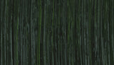ARTIST OIL PAINT - Michael Harding - 40ml Tube - Hookers Green  (series 2)