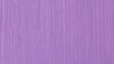 ARTIST OIL PAINT - Michael Harding - 40ml Tube -  Lavender  (series 2)