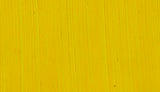 ARTIST OIL PAINT - Michael Harding - 40ml Tube -  Citron  (series 2)
