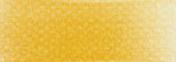 PAN PASTEL - SINGLE - 	250.3 Diarylide Yellow Shade