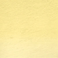 Derwent WATERCOLOUR Pencil - Single -  Zinc Yellow 01