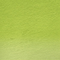 Derwent WATERCOLOUR Pencil - Single - 	Grass Green 47
