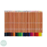 COLOURED PENCILS - Daler Rowney - SIMPLY - 36 Assorted Set