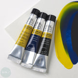 Acrylic Paint Set- Winsor & Newton GALERIA 10 x 20ml Tubes