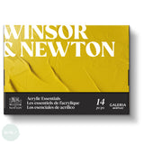 Acrylic Paint Set- Winsor & Newton - GALERIA - Essentials 14pc Set - 10 x 12ml tubes, Palette, Pad, 2 x brushes