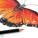 Coloured Pencil Sets - artPOP! - Premium Plus - 48 Assorted Tin
