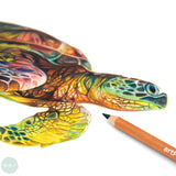 Watercolour Pencil Sets - artPOP! - Premium Plus - 48 Assorted Tin
