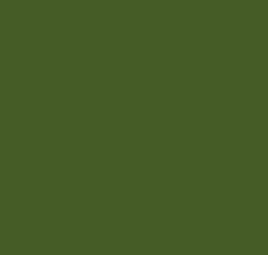 OIL PAINT - BOB ROSS - Landscape Colours -37ml Tube - 	Sap Green