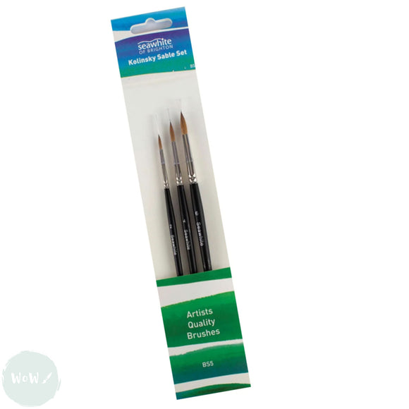 BRUSH SET - Artists Pure Kolinsky Red Sable - BS5 - Sizes 2, 4 & 6 Round