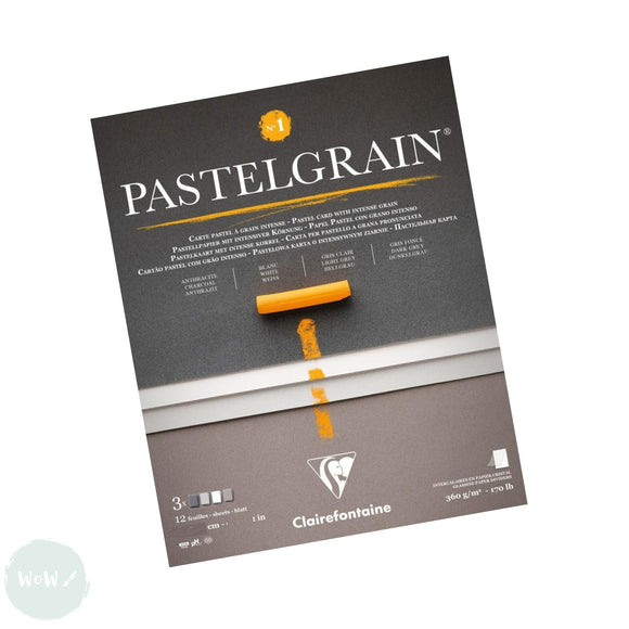 PASTEL SURFACE - Clairefontaine - PASTELGRAIN - PAD - 360gsm -24 x 30 cm - No. 1 - ASSORTED