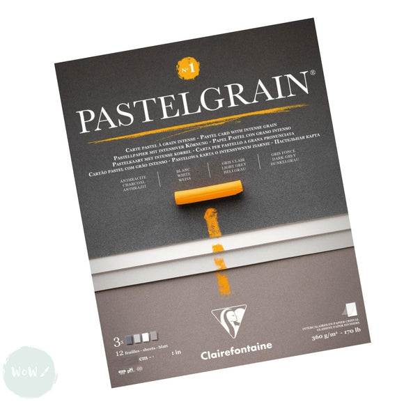 PASTEL SURFACE - Clairefontaine - PASTELGRAIN - PAD - 360gsm - 30 x 40 cm - No. 1 - ASSORTED