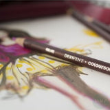 Coloured Pencil Sets - Derwent - COLOURSOFT -  6 tin - PORTRAIT COLOURS