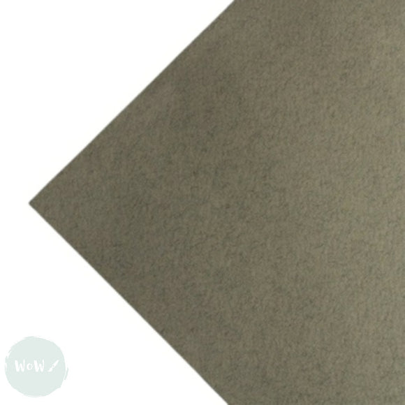 TEXTURED COLOURED PAPER - TIZIANO Ingres - 160 gsm - 50 x 65 cm - 5 sheets -  Nebbia