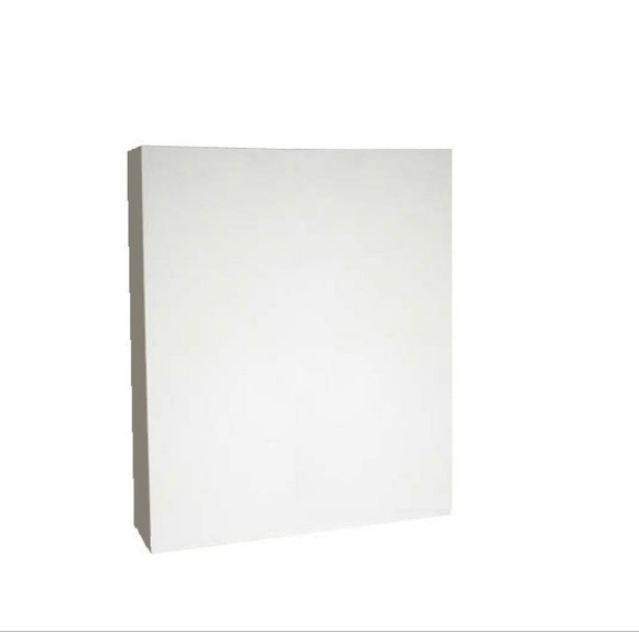 Wooden Painting Panel [green label]  Gesso PRIMED 38mm thick   20 x 30