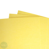 ACRYLIC STAY WET PALETTE - Masterson STA-WET - Premier Palette - SPONGE REFILL - THREE - 12 x 16"