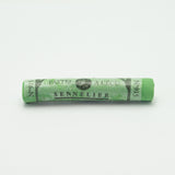 ARTISTS Soft Pastels - Sennelier - PASTEL L'ECU - SINGLE -	915	-	Forest Green 915