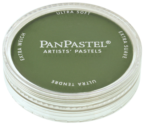 PAN PASTEL - SINGLE - 	660.3 Chromium Oxide Green Shade