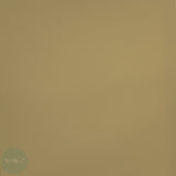 ACRYLIC PAINT - Essentials - 500ml POT   – NAPLES YELLOW