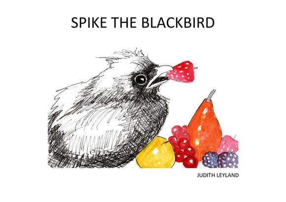 PEMBROKESHIRE ARTISTS - Book - JUDITH LEYLAND - Spike the Blackbird