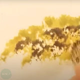 BRUSH SET - Pro Arte - Stephen Coates FOLIATOR - 3 Set - Large, Medium & Small.