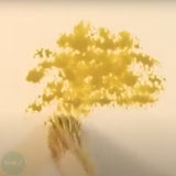 BRUSH SET - Pro Arte - Stephen Coates FOLIATOR - 3 Set - Large, Medium & Small.