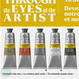 Acrylic Paint Set- Winsor & Newton - GALERIA -  Metallic - 5 x 60ml Tubes