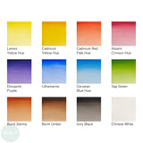Watercolour Paint Sets - Winsor & Newton COTMAN - 12 x 8ml Tubes