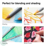 Coloured Pencil Sets - Winsor & Newton - STUDIO COLLECTION Tin - 24 Assorted