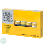 Acrylic Paint Set- Winsor & Newton - GALERIA -  Assorted - 6 x 60ml Tubes