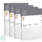 Linen Canvas - White Primed - Standard Depth - Winsor & Newton PROFESSIONAL -  12 x 12” , 305 x 305mm - FOUR