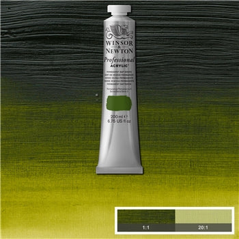 ACRYLIC PAINT - Winsor & Newton PROFESSIONAL - 200ml Tube -  Permanent Sap Green