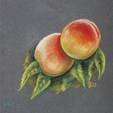 PASTEL SURFACE - Clairefontaine - PASTELGRAIN - PAD - 360gsm - 30 x 40 cm - No. 1 - ASSORTED