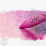 Oil Pastel Set - Caran D'ache - NEOCOLOR II Aquarelle - Water-soluble Wax Crayons Tin of 15