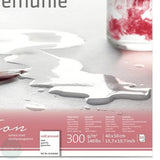 Watercolour Paper - BLOCK -  Hahnemuhle - EXPRESSION - 300gsm (140lb) - Cold pressed - 40 x 50 cm (approx. 16 x 20")