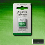 ARTISTS WATERCOLOUR PAINT - Winsor & Newton - PROFESSIONAL - HALF PAN - HOOKER'S GREEN