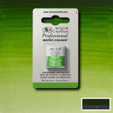 ARTISTS WATERCOLOUR PAINT - Winsor & Newton - PROFESSIONAL - HALF PAN - PERMANENT SAP GREEN