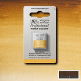ARTISTS WATERCOLOUR PAINT - Winsor & Newton - PROFESSIONAL - HALF PAN - RAW UMBER