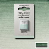 ARTISTS WATERCOLOUR PAINT - Winsor & Newton - PROFESSIONAL - HALF PAN - TERRE VERTE