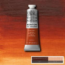 OIL PAINT – Winsor & Newton WINTON – 37ml tube - 	Burnt Sienna