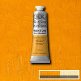 OIL PAINT – Winsor & Newton WINTON – 37ml tube - 	Cadmium Yellow Hue