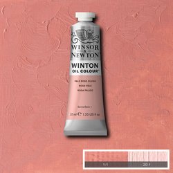 OIL PAINT – Winsor & Newton WINTON – 37ml tube - 	Flesh Tint (Pale Rose Blush)