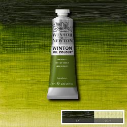 OIL PAINT – Winsor & Newton WINTON – 37ml tube - 	Sap Green