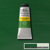 ACRYLIC PAINT - Winsor & Newton GALERIA - 60ml Tube - SAP GREEN