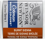 WATERCOLOUR PAINT – Winsor & Newton COTMAN – Half Pan - 	Burnt Sienna