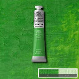 OIL PAINT – Winsor & Newton WINTON – 200ml Tube - 	Permanent Green Light