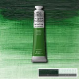 OIL PAINT – Winsor & Newton WINTON – 200ml Tube - 	Terre Verte